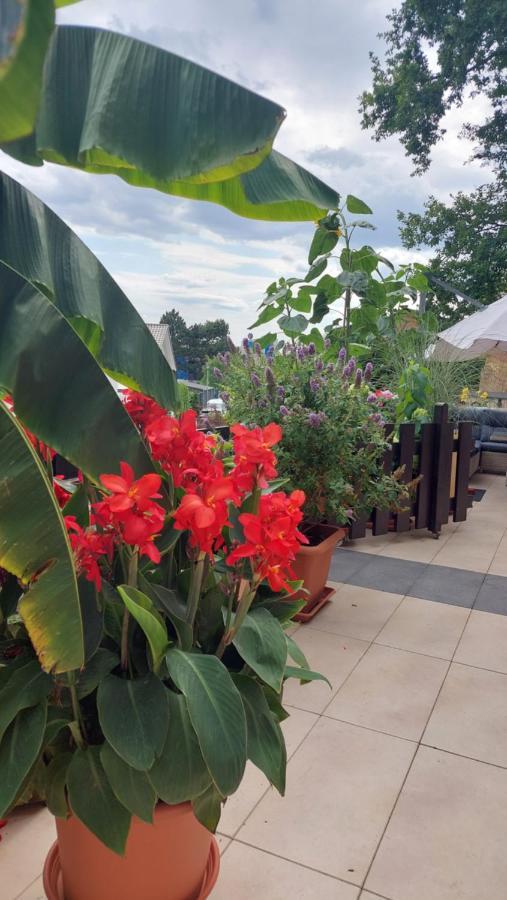Appartamento Schoene Aussicht Nideggen Esterno foto